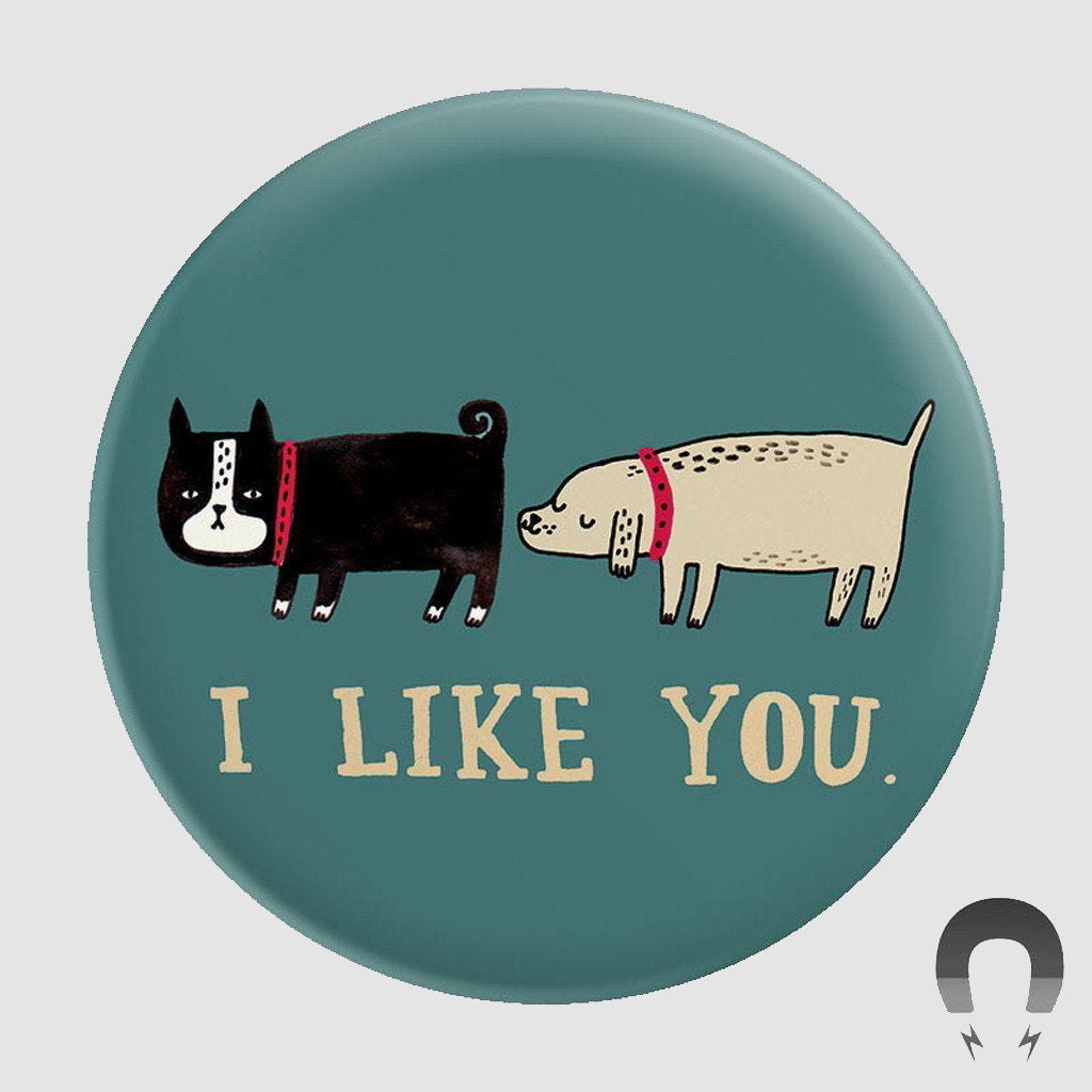 Funny Gifts for Dog Lovers & Crazy Dog People