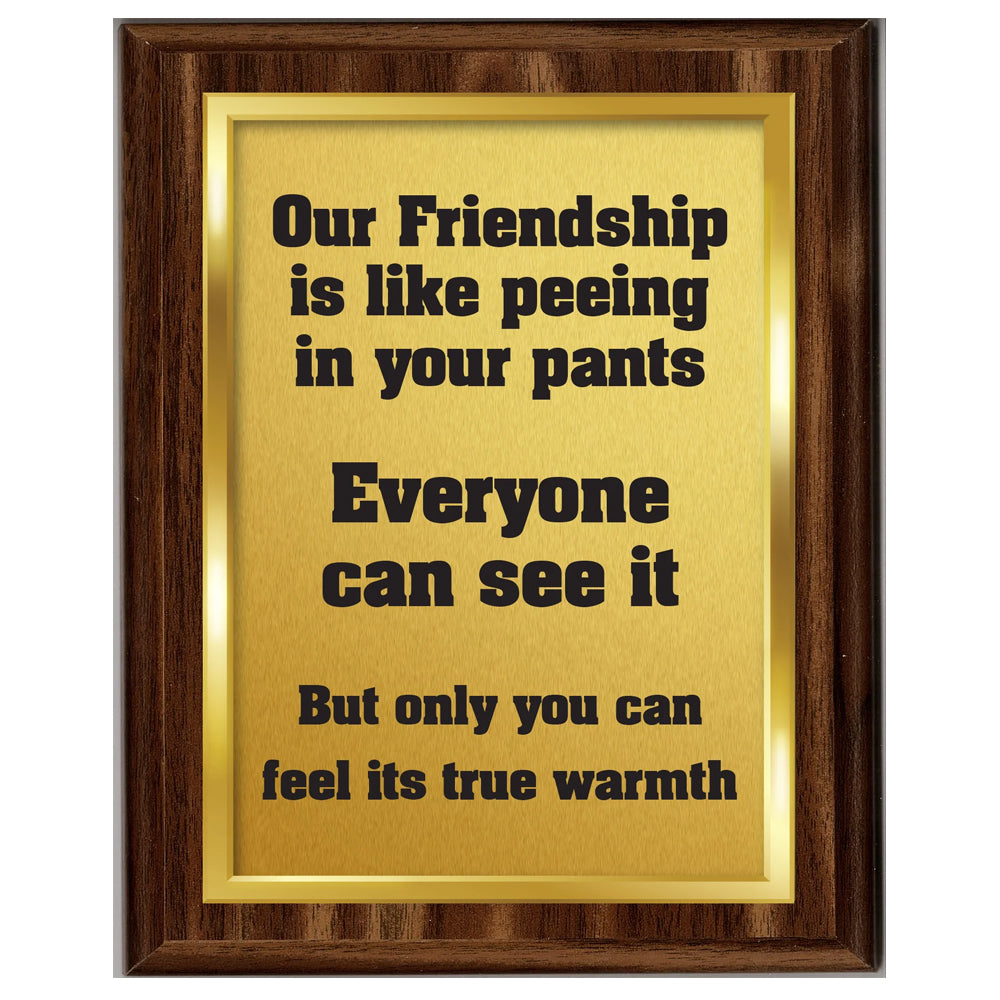 Aahs Enterprises Home Decor Our Friendship Is Like Peeing in Your Pants..... Plaque