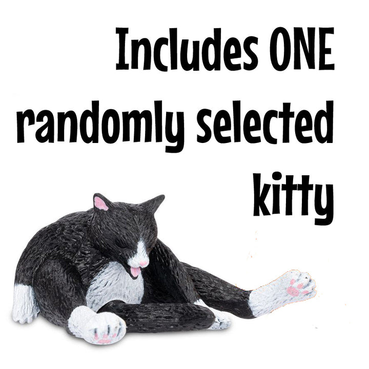 Accoutrements - Archie McPhee Toy Novelties Cleaning Kitty - 1 random color