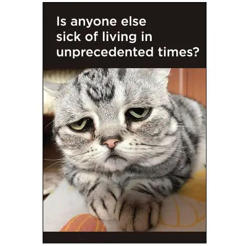 Ephemera Magnets & Stickers Magnet: Is Anyone Else Sick of Living In Unprecedented Times