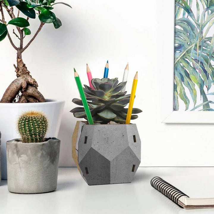 Fred & Friends Home Decor Pop Plant Pencil Holder - Echeveria