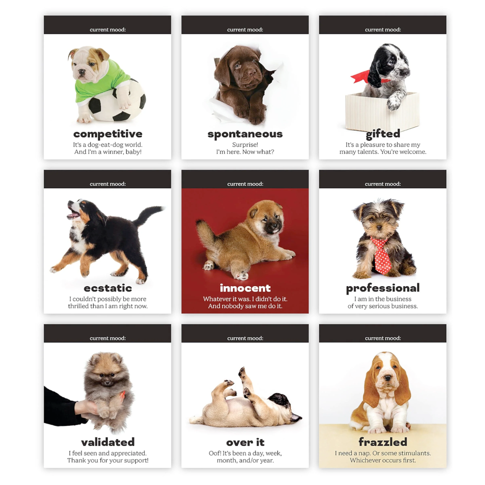 Fred & Friends Office Goods Daily Doggo