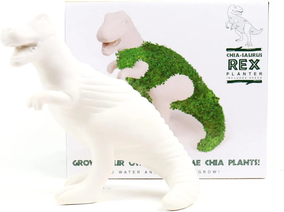 Gift Republic Home Decor Chia Saurus Rex