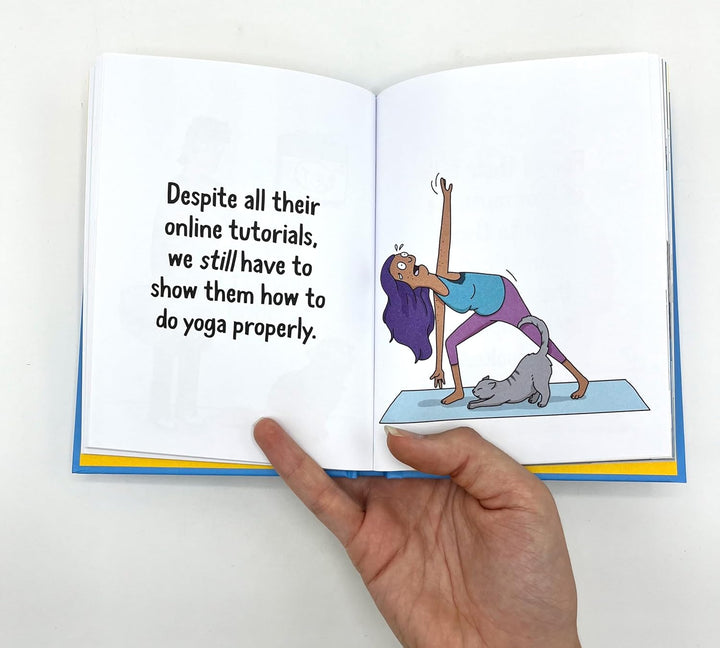 Hachette Book Group - Workman Books Why Your Cat Thinks You're an Idiot