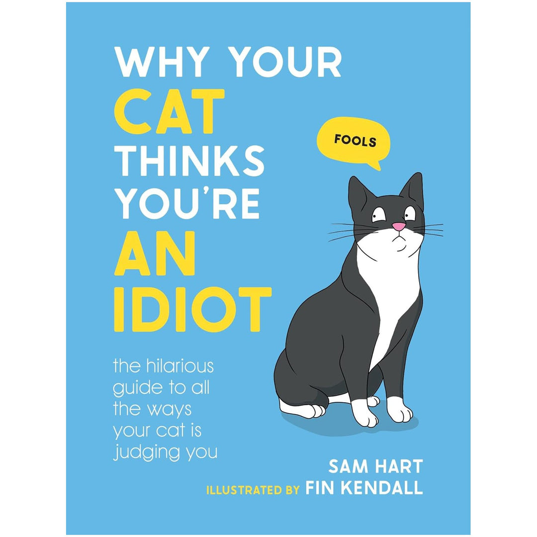 Hachette Book Group - Workman Books Why Your Cat Thinks You're an Idiot