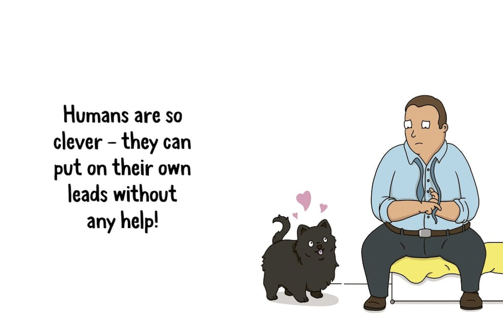 Hachette Book Group - Workman Books Why Your Dog Thinks You're a Hero