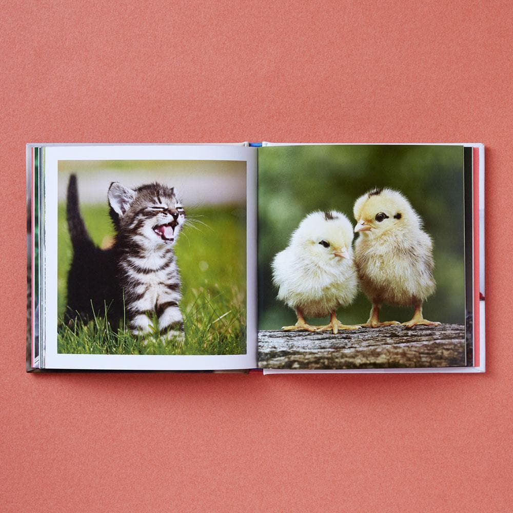 Hachette - Chronicle Books Books Cute Animals for Hard Times