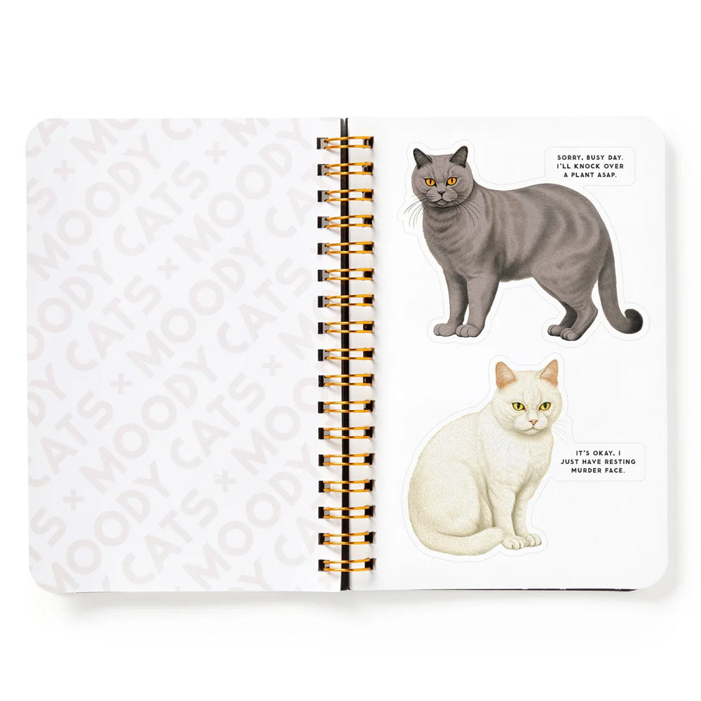 Hachette - Chronicle Books Books Moody Cats Sticker Book