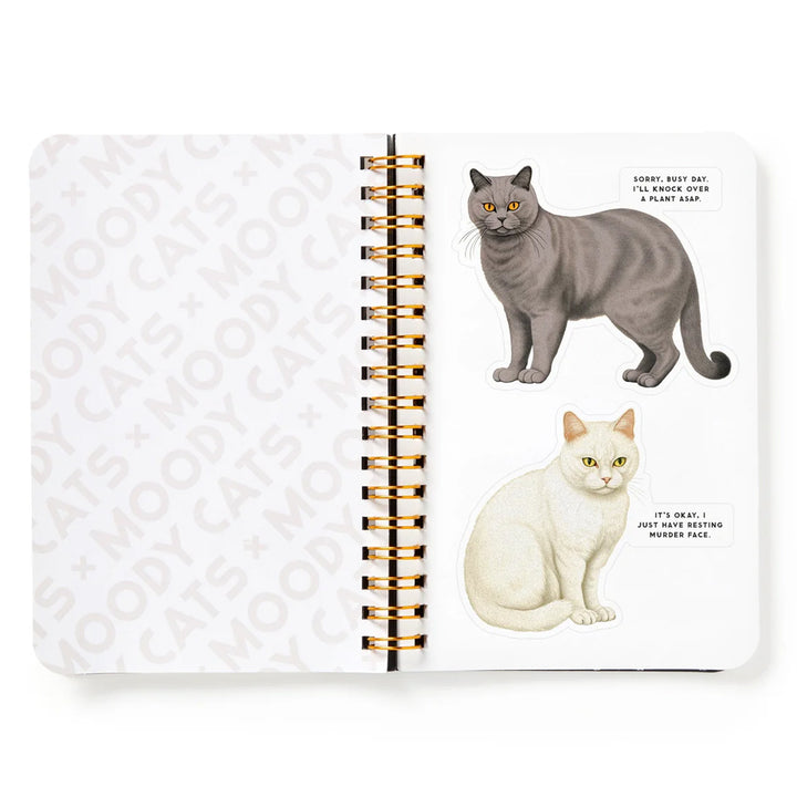 Hachette - Chronicle Books Books Moody Cats Sticker Book