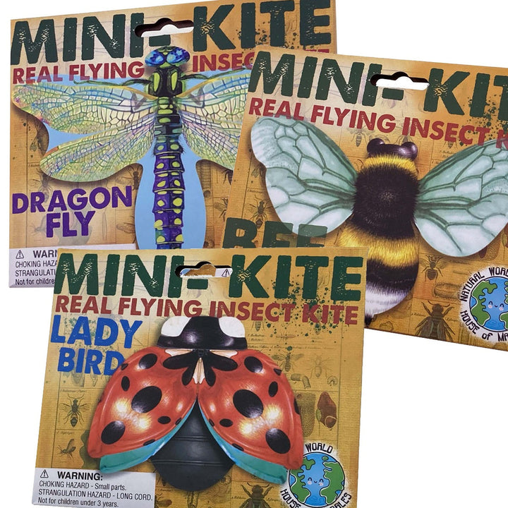 House of Marbles Toy Outdoor Fun Mini Kit Flying Insect - One RANDOM style