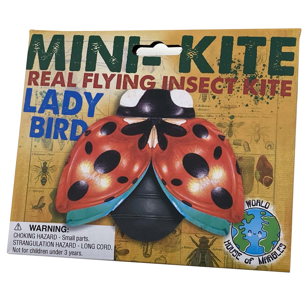 House of Marbles Toy Outdoor Fun Mini Kit Flying Insect - One RANDOM style