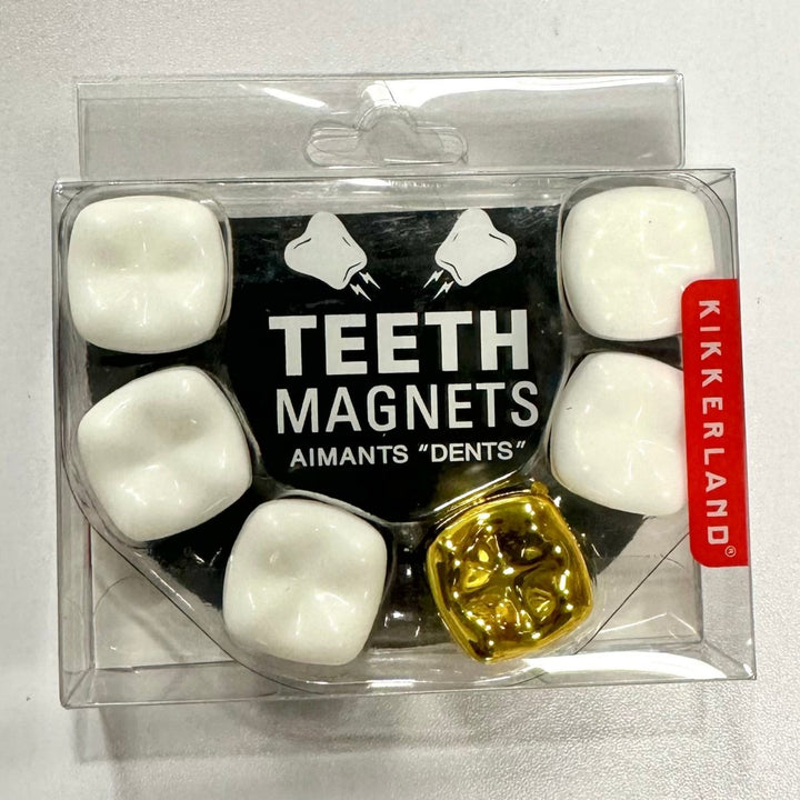 KIKKERLAND Funny Novelties Teeth Magnets- set of 6