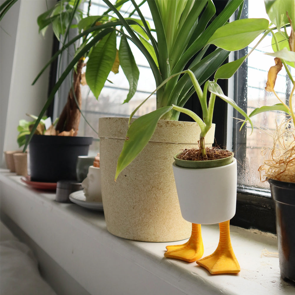 KIKKERLAND Home Decor Duck Feet Planter