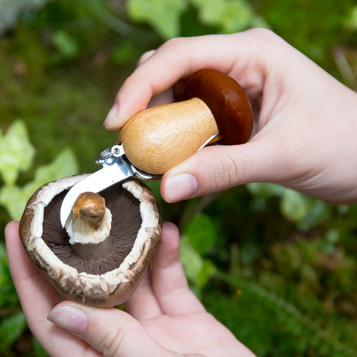 KIKKERLAND Kitchen & Table Mushroom Tool Keychain