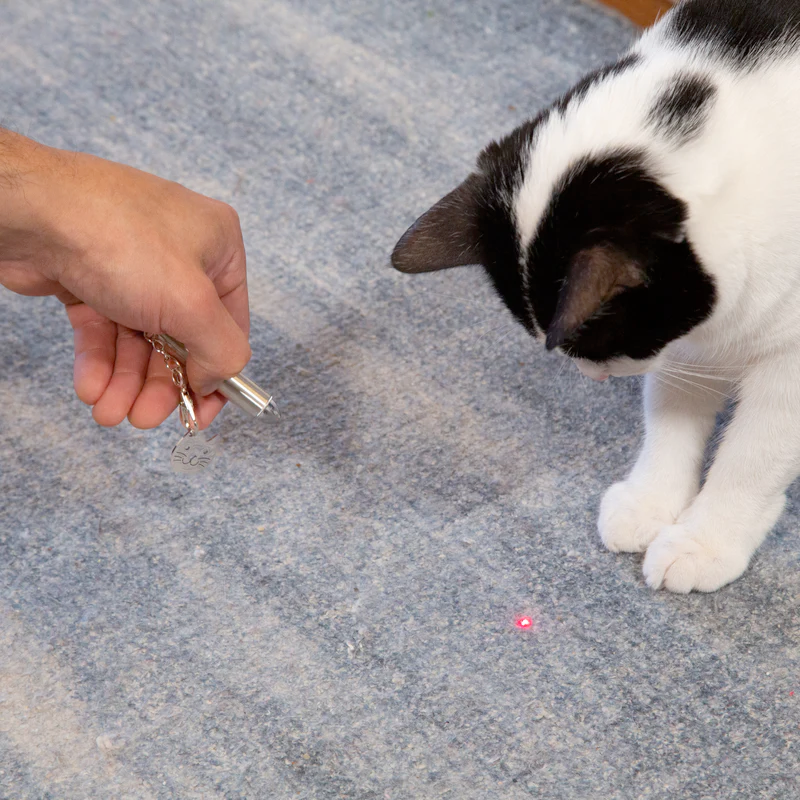KIKKERLAND Personal Care Kitty Laser Pointer