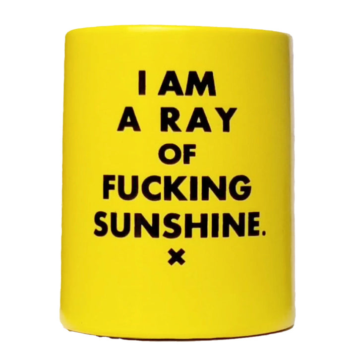 Meriwether Kitchen & Table I Am A Ray of Fucking Sunshine... Vintage Beer Koozie