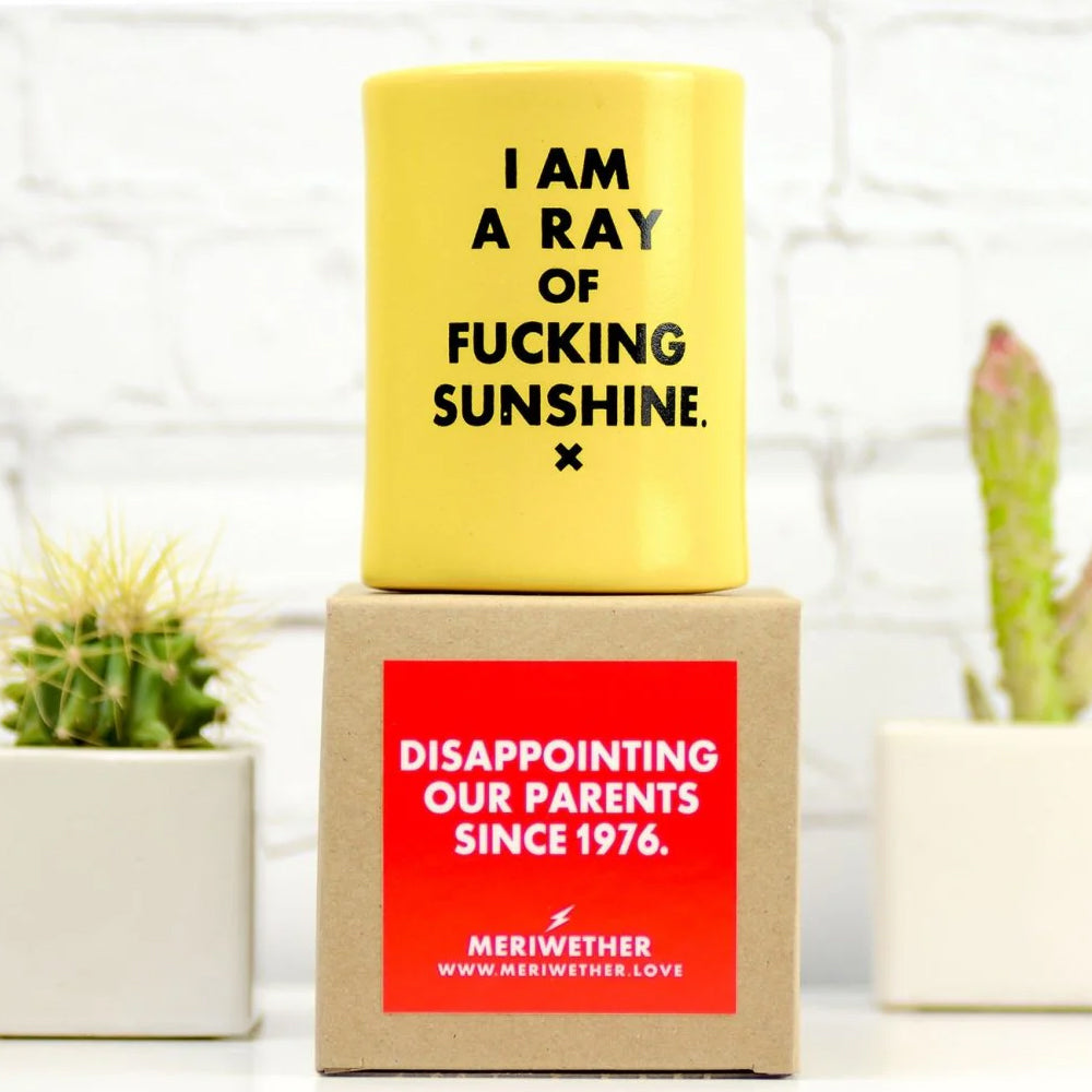 Meriwether Kitchen & Table I Am A Ray of Fucking Sunshine... Vintage Beer Koozie