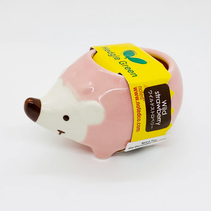 Noted Toy Science Hedgie Green planter - 1 random color