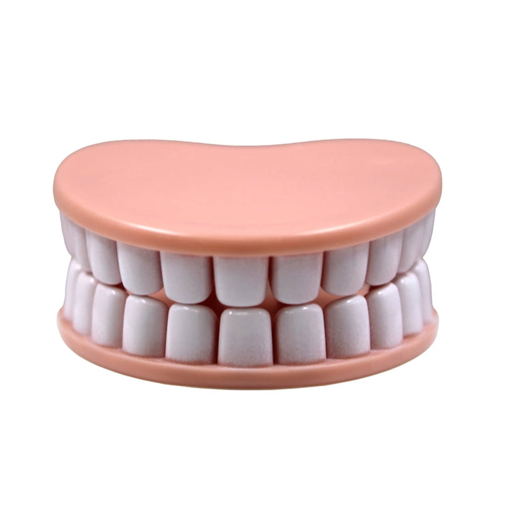 NPW Funny Novelties Denture Bag Clips
