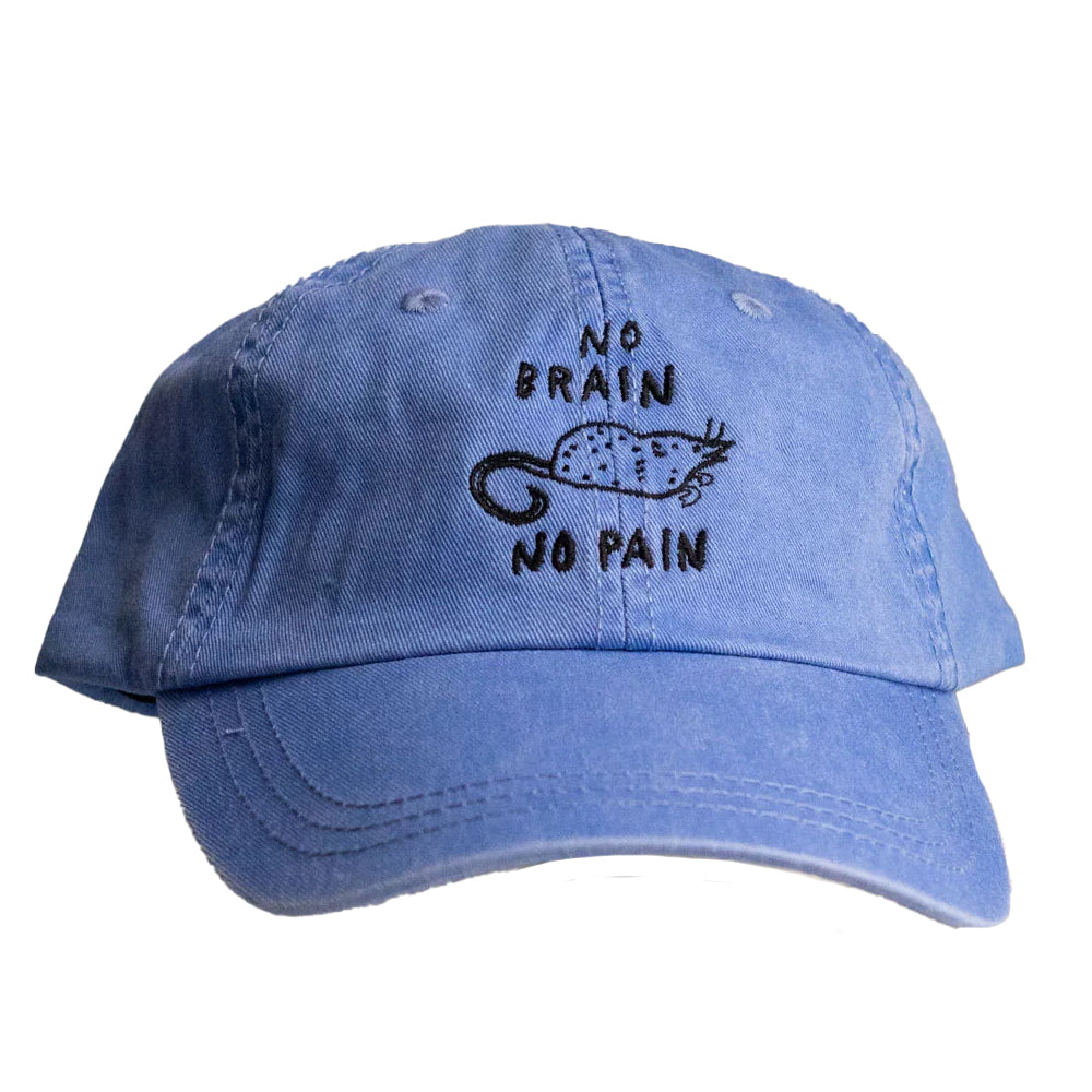 Stay Home Club Socks & Tees No Brain No Pain Dad Hat - Periwinkle