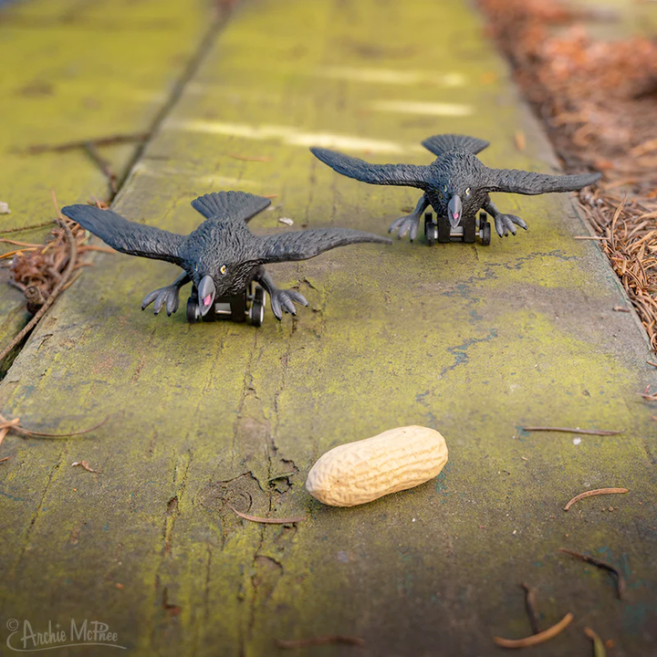 Accoutrements - Archie McPhee Funny Novelties Racing Crow - 1 pc