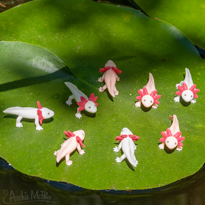 Accoutrements - Archie McPhee Toy Novelties Itty Bitty Axolotls - set of 12
