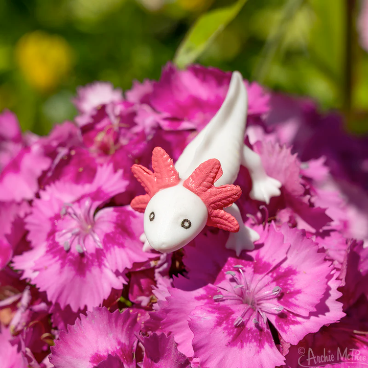 Accoutrements - Archie McPhee Toy Novelties Itty Bitty Axolotls - set of 12