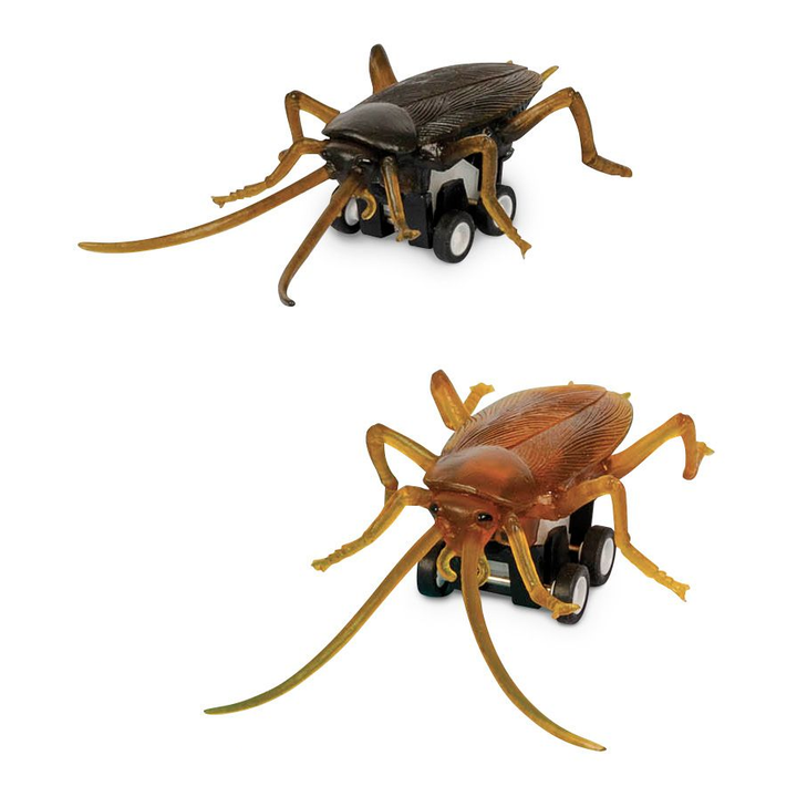 Accoutrements Toy Novelties Racing Roach - 1 roach