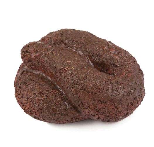 Big Mouth Toys Funny Novelties Busters Hide-A-Key Dog Poop