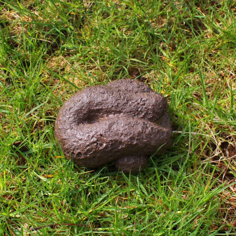 Big Mouth Toys Funny Novelties Busters Hide-A-Key Dog Poop