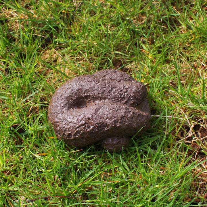 Big Mouth Toys Funny Novelties Busters Hide-A-Key Dog Poop
