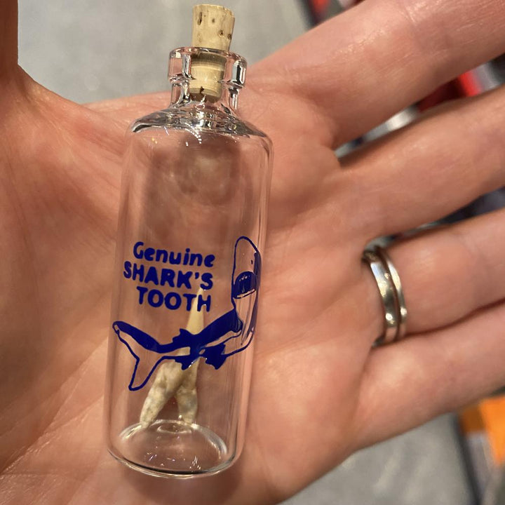 Channel Craft Toy Novelties Shark Tooth in a Bottle