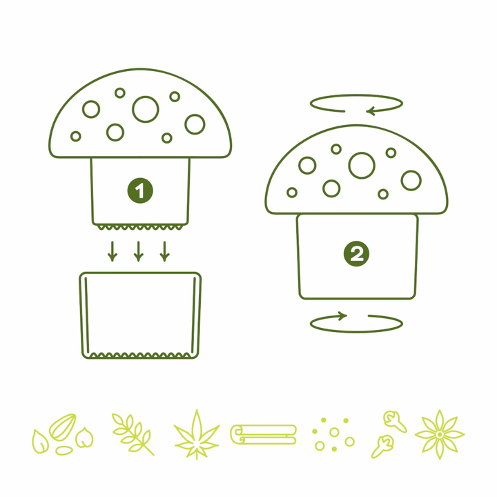 Fred & Friends Drinkware & Mugs Merry Mushroom - Spice and Herb Grinder