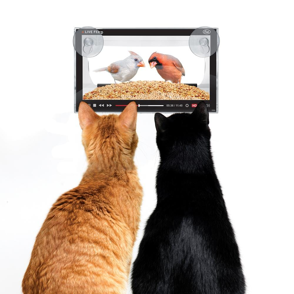 Fred & Friends Home Decor Live Feed