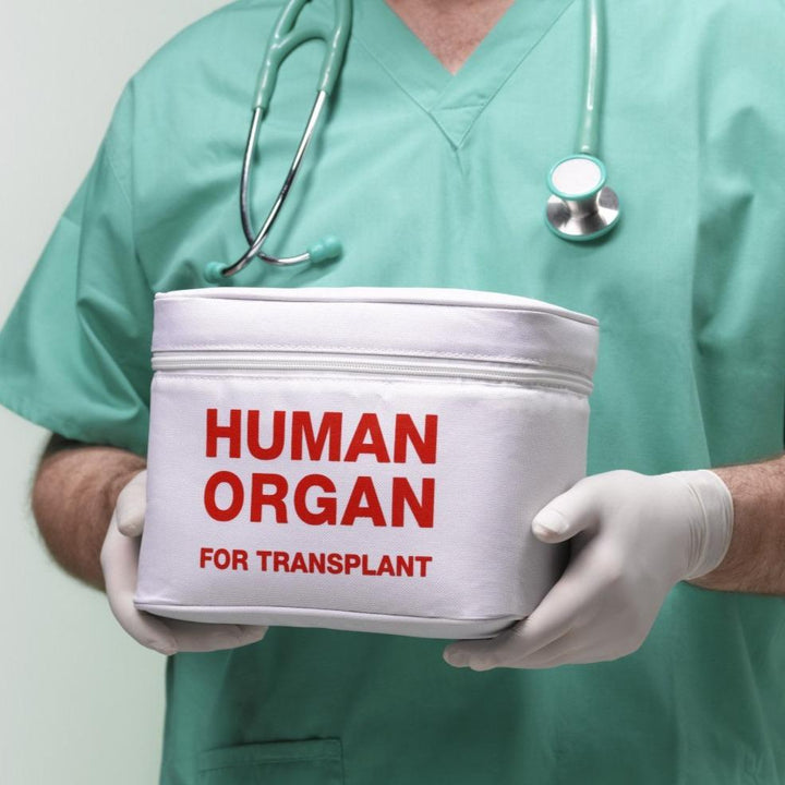 Fred & Friends Home Kitchen & Table Human Organ Lunchbox