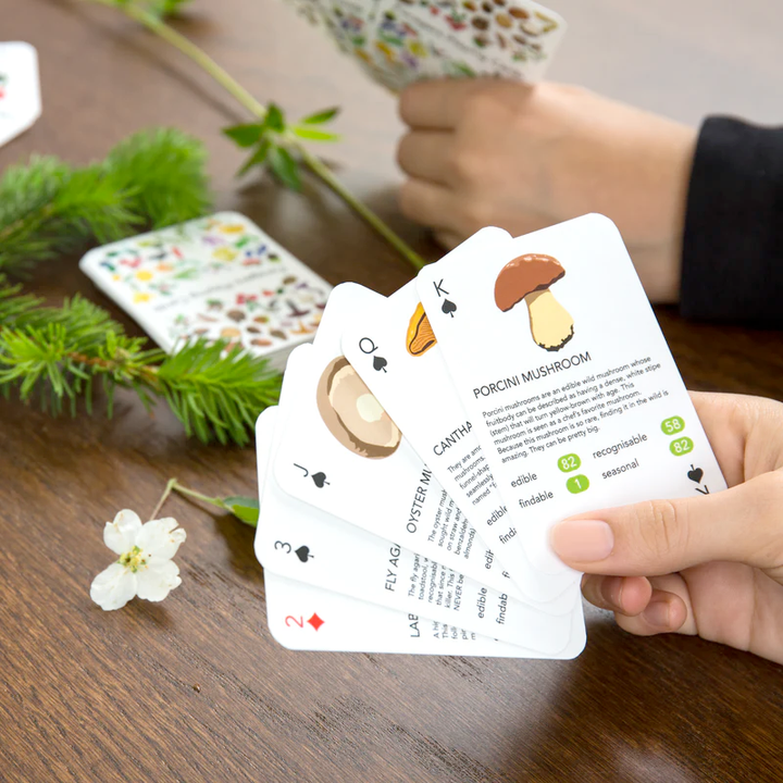 KIKKERLAND Games Foragers Playing Cards